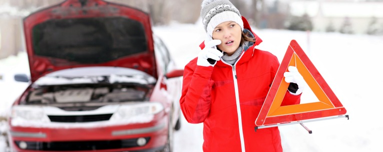 Allianz - Emergency Winter Weather Car Kit