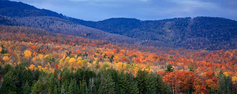 Allianz - Adirondacks