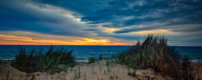 Allianz - Cape Cod dunes