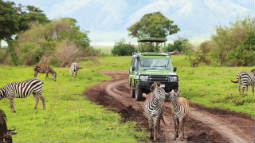 Family African Safari