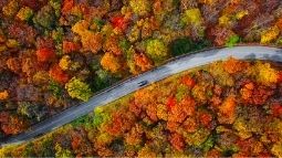 leaf peeping road trip