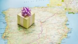 annual travel insurance gift