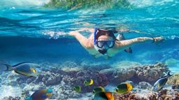 woman snorkeling with fish