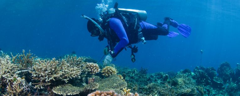 Allianz - scuba diver coral reef restoration