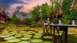 Where Travel Insurance is a Must